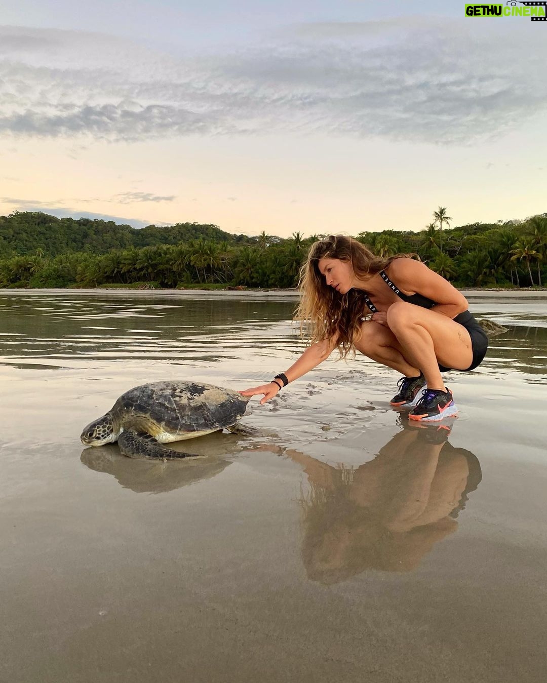 Gisele Bündchen Instagram - From planting trees, regenerating springs and depleted soils, and protecting turtles, jaguars … everything impacts nature. The power of nature comes from its diversity, and it depends on it for survival. Every form of life uniquely creates balance on Earth so all of life can flourish. Like with people, our differences are also our strengths, and we get stronger when we work together. Last year, I started a project called Biomes to help regenerate the biodiversity of Brazil. From north to south, east to west, we selected seven projects in different regions of the country. Each biome's species have an important role in nature because everything is connected. Now, together with The Luz Alliance Fund in partnership with @brazilfound on Saturday, May 20th in Miami, we are having a dinner to raise more funds to expand our efforts and have a more significant impact. 💚 Seja através do plantio de árvores, regeneração de nascentes e solos degradados, ou proteção de tartarugas, onças… temos tentado ajudar de diferentes formas, pois tudo impacta a natureza. O poder da natureza vem de sua diversidade e depende dela para sua sobrevivência. Cada forma de vida desempenha um papel especial no equilíbrio da Terra, possibilitando que todas as formas de vida possam prosperar. Assim como acontece com as pessoas, nossas diferenças também são nossos pontos fortes, e ficamos mais fortes quando trabalhamos juntos. No ano passado, iniciei um projeto chamado Biomas para ajudar a regenerar a biodiversidade do Brasil. De norte a sul, de leste a oeste, selecionamos 7 projetos em diferentes regiões do país porque sabemos da importância que cada bioma tem no todo, pois tudo está interligado. Agora, juntamente com @brazilfound, no dia 20 de maio, em Miami, teremos um jantar para arrecadar mais fundos para que possamos ampliar nossos esforços e ter um impacto ainda maior.