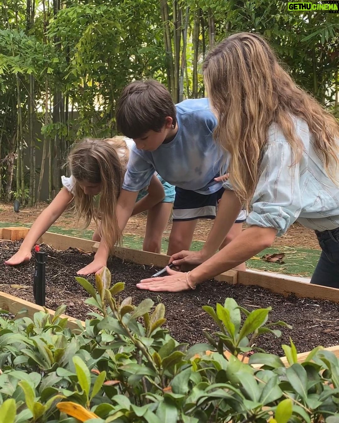Gisele Bündchen Instagram - From planting trees, regenerating springs and depleted soils, and protecting turtles, jaguars … everything impacts nature. The power of nature comes from its diversity, and it depends on it for survival. Every form of life uniquely creates balance on Earth so all of life can flourish. Like with people, our differences are also our strengths, and we get stronger when we work together. Last year, I started a project called Biomes to help regenerate the biodiversity of Brazil. From north to south, east to west, we selected seven projects in different regions of the country. Each biome's species have an important role in nature because everything is connected. Now, together with The Luz Alliance Fund in partnership with @brazilfound on Saturday, May 20th in Miami, we are having a dinner to raise more funds to expand our efforts and have a more significant impact. 💚 Seja através do plantio de árvores, regeneração de nascentes e solos degradados, ou proteção de tartarugas, onças… temos tentado ajudar de diferentes formas, pois tudo impacta a natureza. O poder da natureza vem de sua diversidade e depende dela para sua sobrevivência. Cada forma de vida desempenha um papel especial no equilíbrio da Terra, possibilitando que todas as formas de vida possam prosperar. Assim como acontece com as pessoas, nossas diferenças também são nossos pontos fortes, e ficamos mais fortes quando trabalhamos juntos. No ano passado, iniciei um projeto chamado Biomas para ajudar a regenerar a biodiversidade do Brasil. De norte a sul, de leste a oeste, selecionamos 7 projetos em diferentes regiões do país porque sabemos da importância que cada bioma tem no todo, pois tudo está interligado. Agora, juntamente com @brazilfound, no dia 20 de maio, em Miami, teremos um jantar para arrecadar mais fundos para que possamos ampliar nossos esforços e ter um impacto ainda maior.