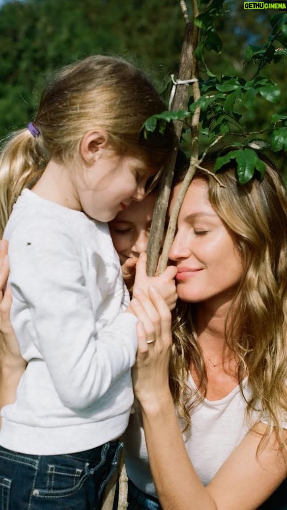 Gisele Bündchen Instagram - Gostaria de agradecer de coração a todas as pessoas que doaram árvores para o meu aniversário. Hoje venho aqui para dizer que as árvores já começaram a ser plantadas pelo ISA. Mais especificamente, 46 mil árvores foram plantadas na região do Xingu-Araguaia em 2021 e, ainda neste ano, as outras 219 mil árvores também serão plantadas. Devido a pandemia, infelizmente o plantio atrasou, mas espero poder mostrar pra vocês, em breve, um pedacinho de uma nova floresta se formando, que só se tornou possível pela união de tanta gente. Um gesto simples, mas que somado a milhares de outros gestos podem ajudar a regenerar o nosso planeta, nossa casa. ©️ J.C. Abreu / ISA Fotos tribo Kisedjê: Lulu Costa 💚 🌲 🌳 From the bottom of my heart, I want to thank everyone who donated trees for my birthday. Today I’m happy to announce the planting is well underway. In 2021, ISA planted 46,000 trees in the Xingu-Araguaia region, and this year we will plant an additional 219,000 trees. The pandemic has unfortunately delayed our progress, but I soon hope to show you actual evidence of a new forest forming. I couldn’t have done it without the help and support of so many people. A simple gesture, yes, but one that along with thousands of others, can help regenerate our planet, which is our only home. #wed #worldenvironmentday #onlyoneearth