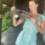 Gisele Bündchen Instagram - Look what I got from my garden! Yucca anyone? 😋 Olhem a mandioca que peguei na minha horta! Alguém aí gosta de mandioca?