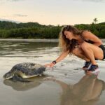 Gisele Bündchen Instagram - Life is a series of opportunities that appear daily, and we choose what to do with them. Today was no different. Early this morning I was walking on the beach and Onyx started barking at a pile of ocean trash that had washed during high tide. When I came closer I saw this beautiful turtle turned upside down with a look of hopelessness and exhaustion in her eyes, her body knotted and entangled in a fishing net. I immediately started to free her from the net that was strangling her, but even after we got her untied, she was too tired to make her way back to the ocean. I didn’t think twice, I just picked her up and carry her to the water.(amazing how adrenaline can make you stronger!) I felt relieved and so happy to see her swim away freely, grateful that I was there and able to help. But there are so many other animals that unfortunately end up dying on nets like this. Today I was reminded that we must become more aware of our ways as a species and help protect all animals, it's our choice. I pray that we can all rise and remember that the opportunity to change begins with a single act 🙏 A vida é uma série de oportunidades que aparecem diariamente, e nós escolhemos o que fazer com elas. Hoje não foi diferente. De manhã cedinho, estava caminhando na praia, e meu cachorro começou a latir para uma pilha de lixo na areia que veio com a maré alta. Quando cheguei mais perto, vi a tartaruga de cabeça para baixo com uma expressão de desespero e cansaço nos olhos, o corpo atado e emaranhado em uma rede de pesca. Imediatamente comecei a libertá-la da rede que a estava estrangulando, mas mesmo depois de desamarrá-la, vi que estava cansada demais para voltar ao oceano. Então a peguei e carreguei para a água. Incrível como a adrenalina pode nos tornar mais fortes! Fiquei muito feliz ao vê-la livre nadando para longe. Fiquei muito grata por estar lá para ajudá-la, mas existem tantos outros animais que infelizmente acabam morrendo em redes como esta. Podemos nos tornar mais conscientes de nossos caminhos como espécie e ajudar a proteger os animais, é uma escolha. Rezo para que todos possamos nos conscientizar e lembrar que a oportunidade de mudar começa com um único ato.