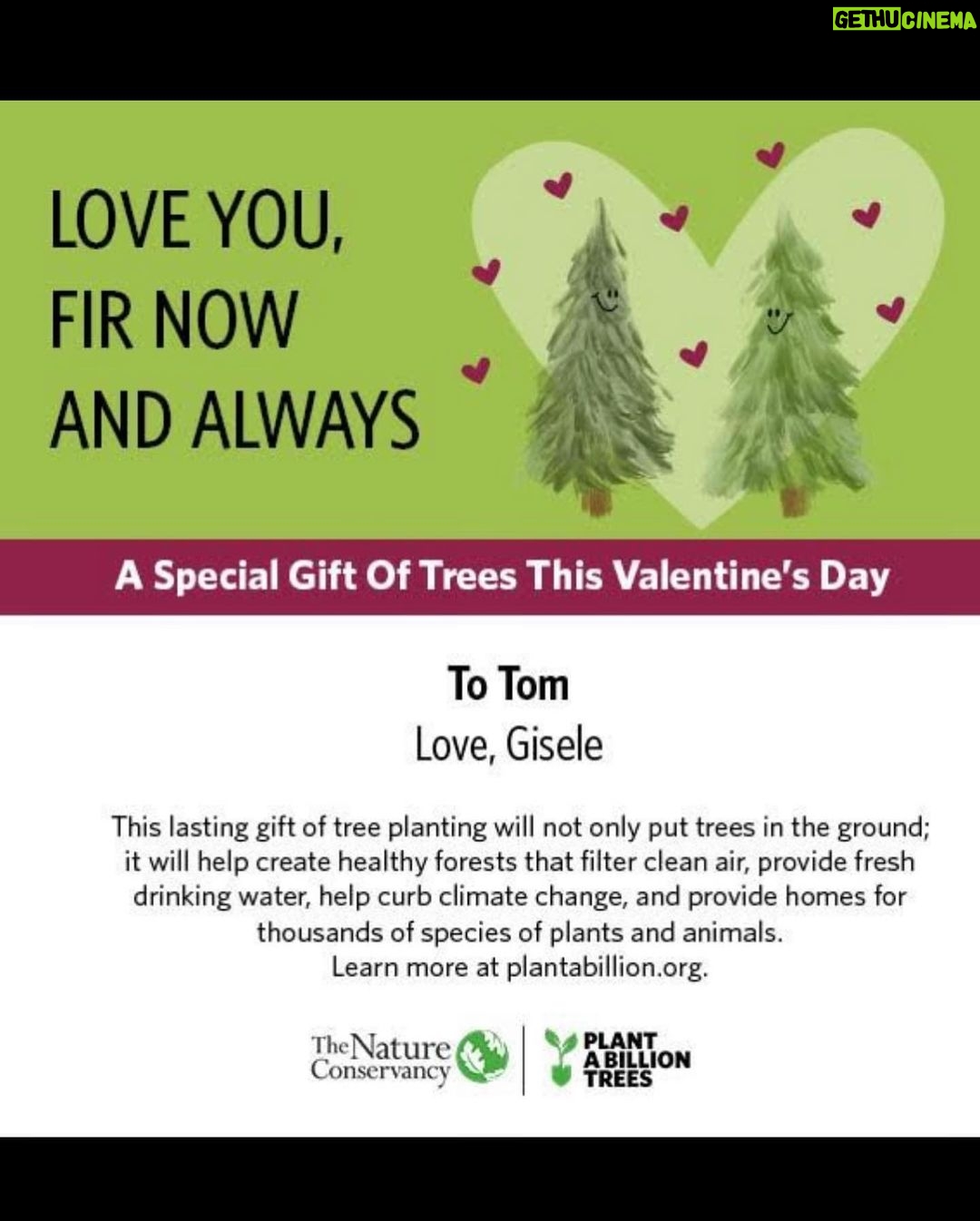 Gisele Bündchen Instagram - Happy Valentines day hubby! Hope you like your gift. Let’s grow some love and make the world greener! Te amo ❤️ Feliz dia dos namorados lovvvey! Espero que goste do teu presente. Vamos plantar amor e deixar o mundo mais verde! Te amo.