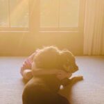 Gisele Bündchen Instagram - Our little Lulu, our guardian angel is gone to heaven. She will forever live in our hearts. We already miss her sooooo much! #unconditionallove RIPLua 💔 Nossa pequena Lulu, nossa anjinha da guarda foi para o céu. Ela viverá para sempre em nossos corações. Já estamos com muita saudade! #amorincondicional RIPLua