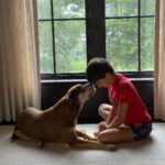 Gisele Bündchen Instagram - Our little Lulu, our guardian angel is gone to heaven. She will forever live in our hearts. We already miss her sooooo much! #unconditionallove RIPLua 💔 Nossa pequena Lulu, nossa anjinha da guarda foi para o céu. Ela viverá para sempre em nossos corações. Já estamos com muita saudade! #amorincondicional RIPLua