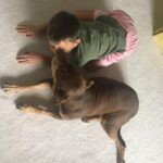 Gisele Bündchen Instagram - Our little Lulu, our guardian angel is gone to heaven. She will forever live in our hearts. We already miss her sooooo much! #unconditionallove RIPLua 💔 Nossa pequena Lulu, nossa anjinha da guarda foi para o céu. Ela viverá para sempre em nossos corações. Já estamos com muita saudade! #amorincondicional RIPLua