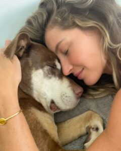 Gisele Bündchen Instagram - Our little Lulu, our guardian angel is gone to heaven. She will forever live in our hearts. We already miss her sooooo much! #unconditionallove RIPLua 💔 Nossa pequena Lulu, nossa anjinha da guarda foi para o céu. Ela viverá para sempre em nossos corações. Já estamos com muita saudade! #amorincondicional RIPLua