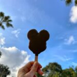 Gisele Bündchen Instagram - Another year and here we are again to celebrate the kids birthdays! Thank you @waltdisneyworld . We had a great time! ✨ Mais um ano e aqui estamos novamente para comemorar o aniversário das crianças! Obrigada @waltdisneyworld nós nos divertimos muito! Walt Disney World, Florida