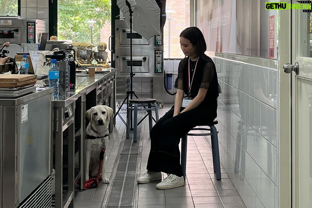 Gladys Lee Instagram - 尋找甜點主廚明日之星 Rising Pastry Chef Award 主持法國乳製品公會 #Cniel 及歐盟聯合贊助的首屆「最佳法國鮮奶油甜點主廚大賽」冠軍賽,今年以「翻玩法式經典甜點」和「都市自然」為創作主題,考驗甜點師傅突破框架,使用高品質的法國鮮奶油完成美味又創新的作品。 總決賽六個半小時,專業評審全程緊盯,每一場現場製作的比賽除了考驗選手的實力,現場控時、組織整潔能力更是關鍵,台灣烘焙新秀加油! - 梳化 @chen_yichuan 服裝 @lafeta_official #lafeta . #歐洲鮮奶油 #法國鮮奶油 #parisbrest #cream #frenchcream #pastry #開幕式 #全英主持 #新聞主播 #節目主持 #主持人 #雙語主持 #活動主持 #精品主持 #中英主持 #中英主持人 #英文主持人 #直播 #直播主持人 #開幕主持 #論壇主持 #春酒主持 #記者會主持 #記者會 #晚宴主持 #host #bilingualhost