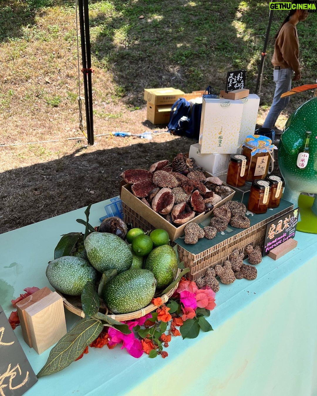 Gladys Lee Instagram - 耳聞台東慢食節好幾年,總是因為工作無法參與,今年更開心啦,因為工作也終於有機會親自體驗熱情的台東😍 @slowfoodtaitung #慢食臺東 首次以 #台東的早餐 為主題,把慢食派對搬進 #臺東森林公園 ,邀請大家一塊兒來野餐,一次吃遍臺東在地慢食早午餐,從原住民部落的飲食、世界風味、在地傳統味道,或者私房記憶,超過四十個風格小攤遍地開花,森林公園一下活起來; 慢食節所有參與者自備環保餐具,或者現場也提供租借服務,或者由 @kaiana.2039 #蓋亞 女神Ibu姐姐親手製作 #慢食器,現場帶著月桃葉餐具超級時尚的捏! 週日最後一天,把握機會玩台東、吃台東🫶 . #臺東慢食節 ● 時間:2023/4/29-30 上午9點~下午2點 ● 地點:臺東森林公園 ☼ 帶環保餐具、自備飲用水 ☼ 逛市集免費入場 . #台東 #台東美食 #開幕式 #全英主持 #新聞主播 #節目主持 #主持人 #雙語主持 #活動主持 #精品主持 #中英主持 #中英主持人 #英文主持人 #直播 #直播主持人 #開幕主持 #論壇主持 #春酒主持 #記者會主持 #記者會 #晚宴主持 #host #bilingualhost 台東森林公園 Taitung Forest Park