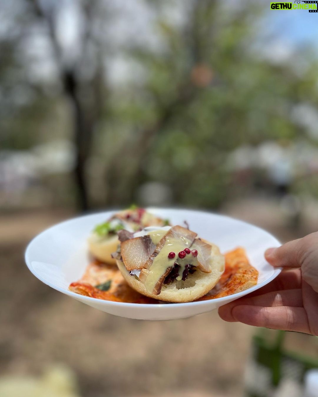 Gladys Lee Instagram - 耳聞台東慢食節好幾年,總是因為工作無法參與,今年更開心啦,因為工作也終於有機會親自體驗熱情的台東😍 @slowfoodtaitung #慢食臺東 首次以 #台東的早餐 為主題,把慢食派對搬進 #臺東森林公園 ,邀請大家一塊兒來野餐,一次吃遍臺東在地慢食早午餐,從原住民部落的飲食、世界風味、在地傳統味道,或者私房記憶,超過四十個風格小攤遍地開花,森林公園一下活起來; 慢食節所有參與者自備環保餐具,或者現場也提供租借服務,或者由 @kaiana.2039 #蓋亞 女神Ibu姐姐親手製作 #慢食器,現場帶著月桃葉餐具超級時尚的捏! 週日最後一天,把握機會玩台東、吃台東🫶 . #臺東慢食節 ● 時間:2023/4/29-30 上午9點~下午2點 ● 地點:臺東森林公園 ☼ 帶環保餐具、自備飲用水 ☼ 逛市集免費入場 . #台東 #台東美食 #開幕式 #全英主持 #新聞主播 #節目主持 #主持人 #雙語主持 #活動主持 #精品主持 #中英主持 #中英主持人 #英文主持人 #直播 #直播主持人 #開幕主持 #論壇主持 #春酒主持 #記者會主持 #記者會 #晚宴主持 #host #bilingualhost 台東森林公園 Taitung Forest Park