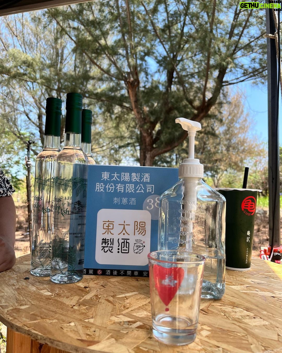 Gladys Lee Instagram - 耳聞台東慢食節好幾年,總是因為工作無法參與,今年更開心啦,因為工作也終於有機會親自體驗熱情的台東😍 @slowfoodtaitung #慢食臺東 首次以 #台東的早餐 為主題,把慢食派對搬進 #臺東森林公園 ,邀請大家一塊兒來野餐,一次吃遍臺東在地慢食早午餐,從原住民部落的飲食、世界風味、在地傳統味道,或者私房記憶,超過四十個風格小攤遍地開花,森林公園一下活起來; 慢食節所有參與者自備環保餐具,或者現場也提供租借服務,或者由 @kaiana.2039 #蓋亞 女神Ibu姐姐親手製作 #慢食器,現場帶著月桃葉餐具超級時尚的捏! 週日最後一天,把握機會玩台東、吃台東🫶 . #臺東慢食節 ● 時間:2023/4/29-30 上午9點~下午2點 ● 地點:臺東森林公園 ☼ 帶環保餐具、自備飲用水 ☼ 逛市集免費入場 . #台東 #台東美食 #開幕式 #全英主持 #新聞主播 #節目主持 #主持人 #雙語主持 #活動主持 #精品主持 #中英主持 #中英主持人 #英文主持人 #直播 #直播主持人 #開幕主持 #論壇主持 #春酒主持 #記者會主持 #記者會 #晚宴主持 #host #bilingualhost 台東森林公園 Taitung Forest Park