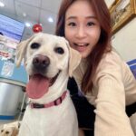 Gladys Lee Instagram - ✅ 血液檢測 ✅ 視力測驗 ✅ 年度疫苗 ✅ 髖關節X光 ✅ 骨科理學檢測 Ula完成一歲3個月體檢，準備戴分類帽 🎩
