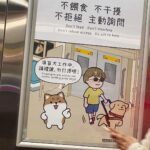 Gladys Lee Instagram - Ula上學🎒 工作犬從小接受各式訓練，關鍵目標是讓導盲犬完全融入真實社會，大眾交通工具就是重要練習場域，穿上辨識度極高的 #導盲犬訓練中 #紅背心，出發！ 唉，媽媽我第一次牽著狗狗搭捷運，手忙腳亂忙著鼓勵寶寶勇敢搭手扶梯，還得注意腳趾或尾巴別被夾到，幸好台北捷運好友善，進出站的時候，幾乎每一位站務員都特別走出來點頭示意問好+注目禮（有刷卡上班的感覺？！）乘客素質好高，除了 #不餵食 #不干擾 #不拒絕 之外，發現狗狗尾巴露出來，還默默幫忙Ula收尾巴，避免被其他乘客踩到，帶孩子的家長看到，還機會教育小孩不要打擾狗狗🥹 上學當天一起訓練的是Ula同胎姐妹Unique，兩個月沒見的寶寶在一起很歡樂，但上課完全不能互相干擾，真的是紀律從小養成🦮 #導盲犬寄養家庭 #故事分享 #拉布拉多幼犬 #工作犬 #導盲犬 #下課回家睡翻天