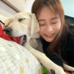 Gladys Lee Instagram - 滿三個月，可以分享了😆 我當媽媽啦，女兒叫做Ula，是一隻奶油色拉拉，經過嚴謹的導盲犬寄養家庭申請程序（真的是三個月以上），遞交書面申請、電話溝通、家庭面試、成犬試養等四個階段之後，台灣導盲犬協會分派這隻U胎小天使給我，從15週大帶到一歲半左右正式上學，協助寶寶建立常規、服從、穩定，以及最重要的社會化訓練，穿上訓練中的紅背心搭公車、捷運、雙鐵、飛機，出入賣場、餐廳，熟悉複雜的人類環境（台灣的街道對幼犬難度真的好高！隨地都是煙蒂、檳榔渣，媽媽心累～），也讓寶寶在家都能保持穩定情緒； 導盲犬上學之前的階段，有賴志工家庭協助寄養工作，因為工作犬的養成很不容易，家長也要學習好多規則，更不捨的是一歲之後的分離才是考驗，所以寄養家庭並不好招募，但對我來說，這是人生中很棒的經驗和成長，是今年給自己的挑戰和生命禮物，謝謝好朋友們記得我的生日，有大家的祝福，相信今年一定平安健康，順利幸福，下回相約很有可能我會帶著Ula喲！ 拍拍自己肩膀，加油打氣，媽媽我要加油，順利把寶寶帶大，讓她能成為出色優秀的工作犬 🦮 #導盲犬寄養家庭 #故事分享 #拉布拉多幼犬 #工作犬 #導盲犬 #換牙嘴很養的小寶寶