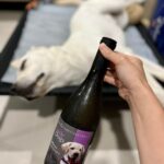Gladys Lee Instagram - 總算睡了的寶寶，開喝🤭 Pawty time when bb sleep 😎