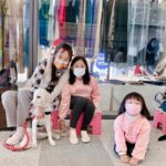 Gladys Lee Instagram - 第一次參加 @twguidedog #台灣導盲犬協會 舉辦的週末宣導活動，原來這麼盛大！幾十個寄養家庭帶著幼犬、種犬、輔助犬、導盲犬出席，這麼多隻狗狗現場倒是安安靜靜，訓練有素的導盲犬好整以暇趴在正中央，聞風不動，像Ula這種小幼幼隨時都新奇，風吹草動都能彈起來，現場也是太可愛的認親大會了啦！坐在我們左邊的Ian原來是Ula的舅舅（Ula媽媽是同胎的Ida），種犬身份體格強壯，右邊是三歲半的Danny哥哥，是一隻黑色的黃金拉拉，目前是醫療輔助犬🐕‍🦺應該很快要開始上班； Ula寶寶 @more_than_pups還認出一起住過兩個月的Allen哥哥，估計當時經常欺負哥哥，讓爸爸媽媽印象深刻；倒是同胎兄弟姊妹還沒機會打招呼，期待U胎團訓🦮 Ula穩定下來之後也還是挺乖的（媽媽感動），讓小朋友摸摸背減敏訓練； 📍新莊 #宏匯廣場 @honhuiplaza