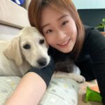 Gladys Lee Instagram - 滿三個月，可以分享了😆 我當媽媽啦，女兒叫做Ula，是一隻奶油色拉拉，經過嚴謹的導盲犬寄養家庭申請程序（真的是三個月以上），遞交書面申請、電話溝通、家庭面試、成犬試養等四個階段之後，台灣導盲犬協會分派這隻U胎小天使給我，從15週大帶到一歲半左右正式上學，協助寶寶建立常規、服從、穩定，以及最重要的社會化訓練，穿上訓練中的紅背心搭公車、捷運、雙鐵、飛機，出入賣場、餐廳，熟悉複雜的人類環境（台灣的街道對幼犬難度真的好高！隨地都是煙蒂、檳榔渣，媽媽心累～），也讓寶寶在家都能保持穩定情緒； 導盲犬上學之前的階段，有賴志工家庭協助寄養工作，因為工作犬的養成很不容易，家長也要學習好多規則，更不捨的是一歲之後的分離才是考驗，所以寄養家庭並不好招募，但對我來說，這是人生中很棒的經驗和成長，是今年給自己的挑戰和生命禮物，謝謝好朋友們記得我的生日，有大家的祝福，相信今年一定平安健康，順利幸福，下回相約很有可能我會帶著Ula喲！ 拍拍自己肩膀，加油打氣，媽媽我要加油，順利把寶寶帶大，讓她能成為出色優秀的工作犬 🦮 #導盲犬寄養家庭 #故事分享 #拉布拉多幼犬 #工作犬 #導盲犬 #換牙嘴很養的小寶寶
