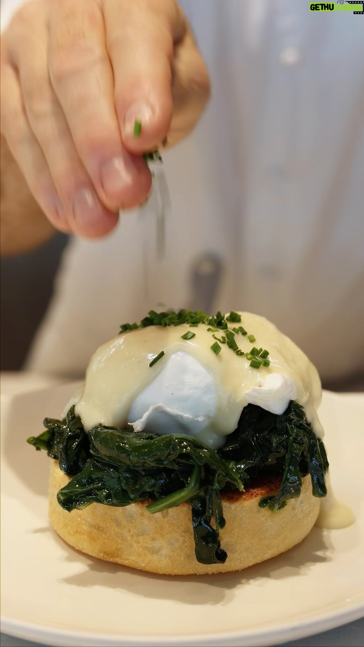 Gordon Ramsay Instagram - Delicious eggs Florentine with spinach and creamy hollandaise at @gordonramsayplanefood ! Gordon Ramsay Plane Food