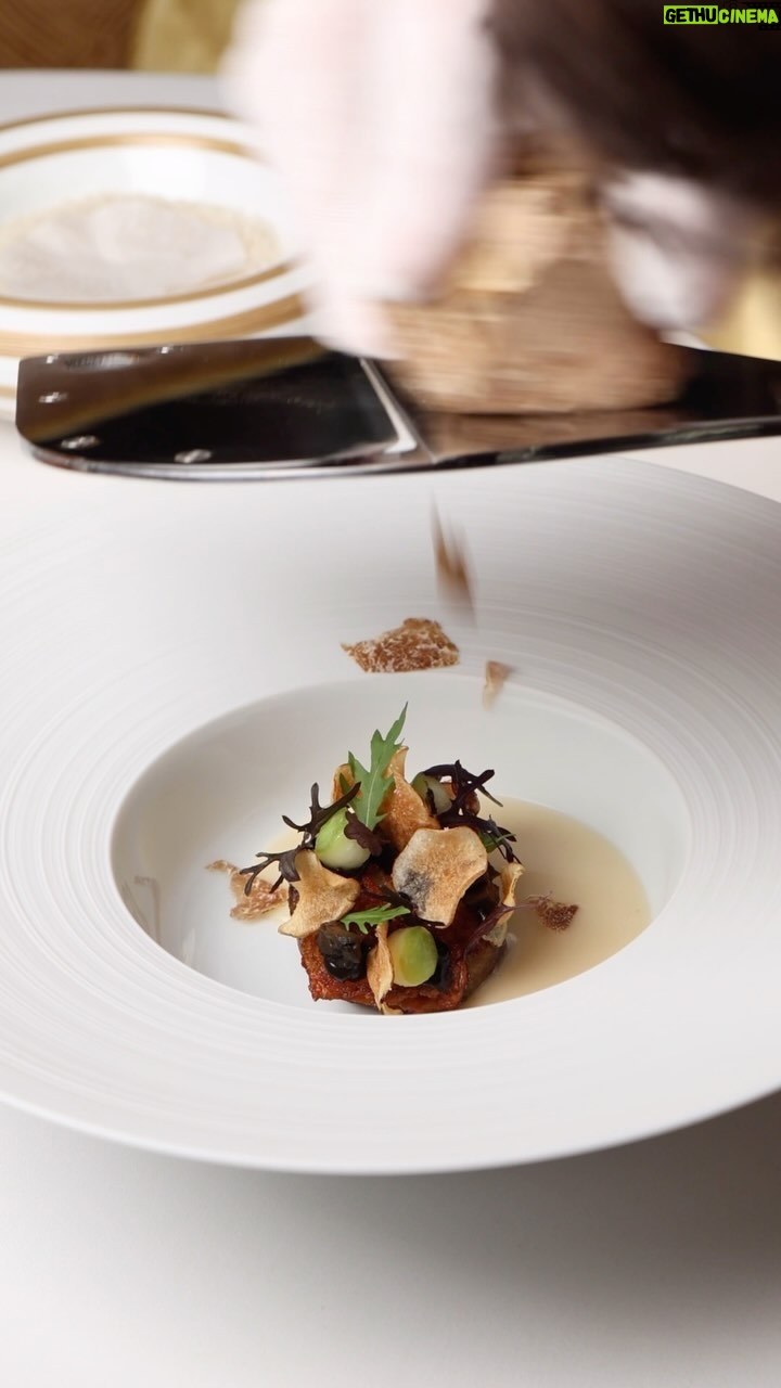 Gordon Ramsay Instagram - Stunning Jerusalem artichoke with Mont d’or fondue - finished with white truffle at @restaurant1890gordonramsay !! Restaurant 1890 by Gordon Ramsay