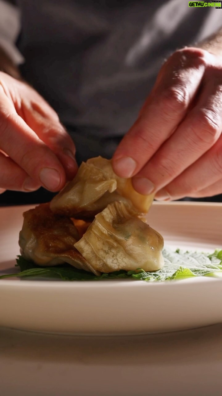 Gordon Ramsay Instagram - Learn how to make these delicious prawn and salmon gyoza at @gordonramsayacademy !! Gordon Ramsay Academy
