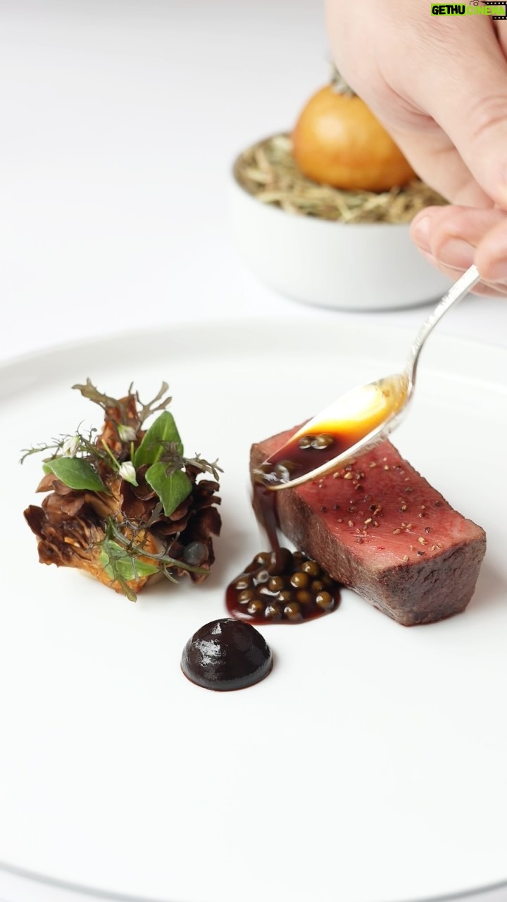 Gordon Ramsay Instagram - Stunning Aynho fallow deer, miataki, hay cream, green peppercorns at @restaurantgordonramsay ! Restaurant Gordon Ramsay