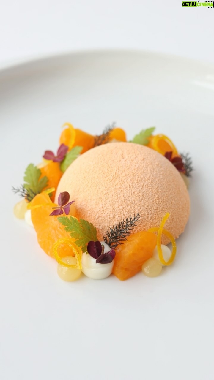 Gordon Ramsay Instagram - Fallow deer, roast pigeon, Isle of Skye scallops and citrus parfait by @chef.mattabe and the team at @restaurantgordonramsay - just stunning !! Restaurant Gordon Ramsay