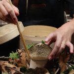 Gordon Ramsay Instagram - Check out the creativity from the @chefstableatluckycat team with their stunning mushroom bao !! Chefs Table at Lucky Cat
