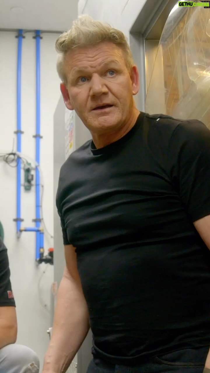 Gordon Ramsay - 76.1K Likes - Fresh Wings 🤦♂️ It’s a new Nightmare tonight on #KitchenNightmares at 8/7c on @foxtv