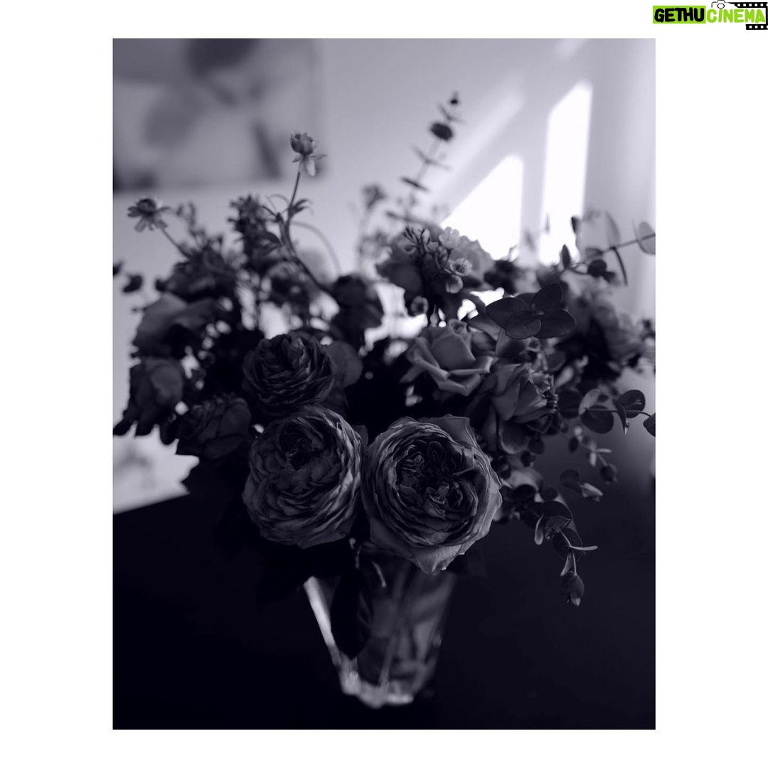 Goro Inagaki - 62.2K Likes - あけましておめでとうございます。
皆さまにとって、安らぎと愛と喜びに満ちた年になりますように。