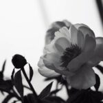 Goro Inagaki Instagram –