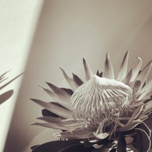 Goro Inagaki Instagram - 
