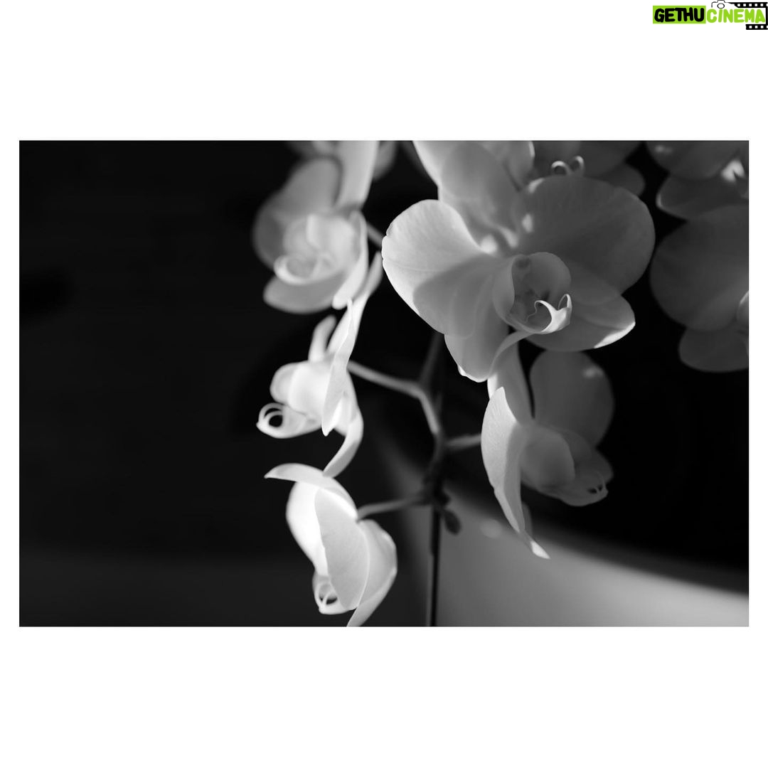 Goro Inagaki - 50.4K Likes - 頭の中でずっとループしている。
Planktonからlost and foundへのつながりはほんと気持ち良いな。
1000年後の音楽家に発見してほしい美しい作品。
良い夜を⭐︎