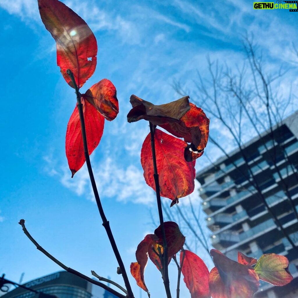Goro Inagaki Instagram - 冬の蝶、見つけた。 #静かな時間