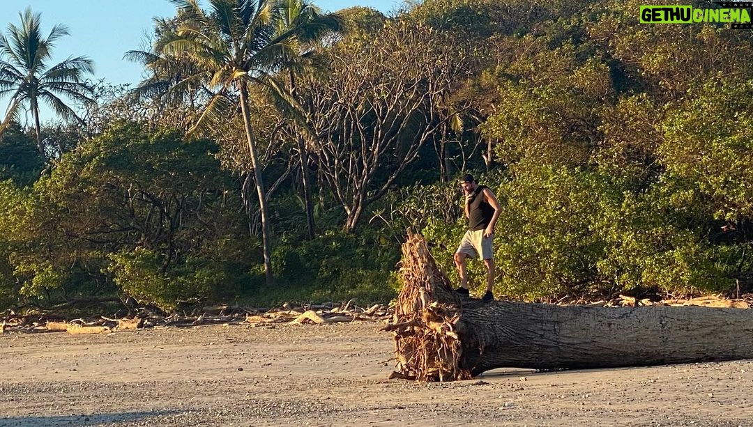 Grégory Fitoussi Instagram - Probably one of my favorite place in the world. @thegildediguana #costarica #paradise @alexandraschulke The Gilded Iguana - Hotel & Restaurant - Playa Guiones Costa Rica