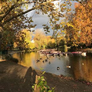 Grégory Fitoussi Instagram - L automne...