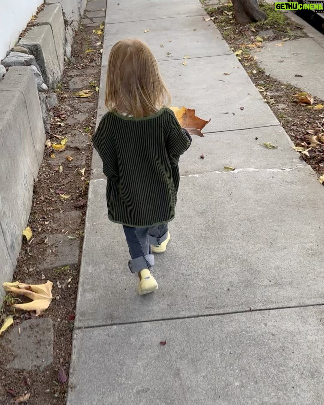 Grant Gustin Instagram - ☀️🌊🎄🎅⚡️🍁 (Juni deciding that stick shouldn’t be on the sidewalk in the last slide is so funny to me 😂)