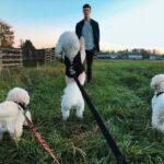 Grant Gustin Instagram – Can’t believe I’m writing this, but earlier this week we said goodbye to my best bud, Jett. Anyone that’s ever met Jett knew how special he was to me and what a special dog he was in general. There’s nothing I could write in a caption that could encapsulate the love I have for Jett, how much I’ll miss him, or the amazing run we had together. Jett and I found each other when he was 5 and I was 21, and he made it to almost 18 years old. He was one of my only constants during those (nearly)13 years. Leave some love for Jett if you knew him, and if you didn’t, just enjoy this very small collection of some of my favorite pictures of him. ♥️