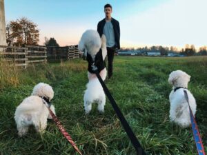 Grant Gustin Instagram - Can’t believe I’m writing this, but earlier this week we said goodbye to my best bud, Jett. Anyone that’s ever met Jett knew how special he was to me and what a special dog he was in general. There’s nothing I could write in a caption that could encapsulate the love I have for Jett, how much I’ll miss him, or the amazing run we had together. Jett and I found each other when he was 5 and I was 21, and he made it to almost 18 years old. He was one of my only constants during those (nearly)13 years. Leave some love for Jett if you knew him, and if you didn’t, just enjoy this very small collection of some of my favorite pictures of him. ♥️