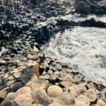 Greg Sestero Instagram - Giants Causeway 🧜🏻‍♂️