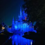 Greg Sestero Instagram - Lost in Disney World Walt Disney World