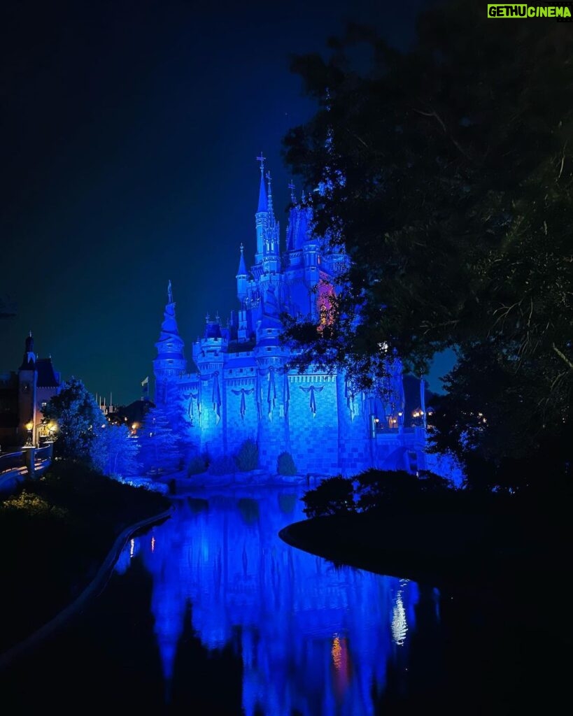 Greg Sestero Instagram - Lost in Disney World Walt Disney World