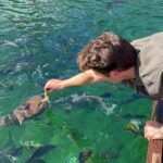 Gregg Sulkin Instagram – What a trip