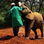 Gregg Sulkin Instagram - 🇰🇪 🐘 Kenya