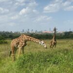 Gregg Sulkin Instagram – Day off 🎬 in Kenya Nairobi National Park