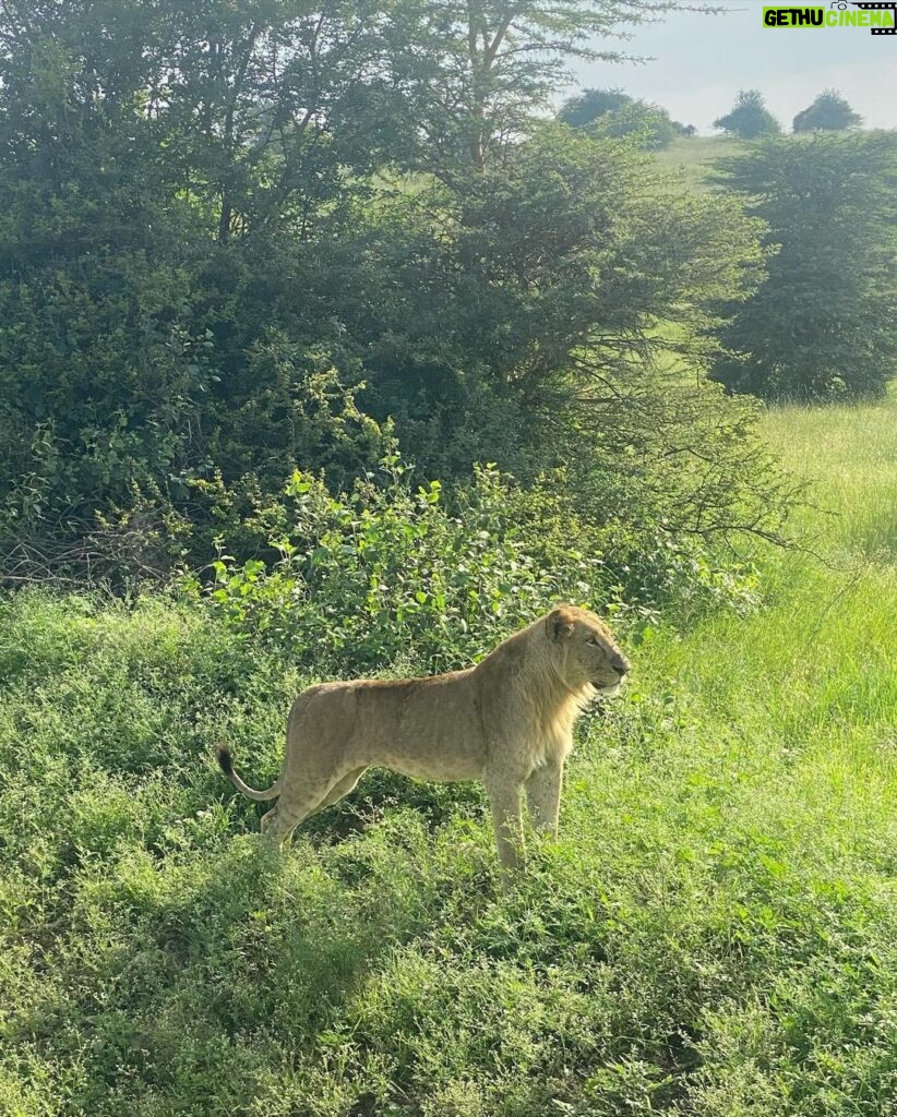 Gregg Sulkin Instagram - Day off 🎬 in Kenya Nairobi National Park