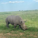 Gregg Sulkin Instagram – Day off 🎬 in Kenya Nairobi National Park