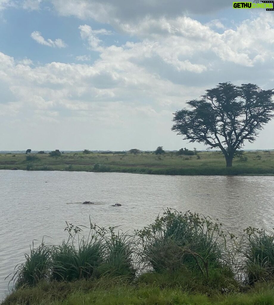 Gregg Sulkin Instagram - Day off 🎬 in Kenya Nairobi National Park