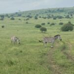 Gregg Sulkin Instagram – Day off 🎬 in Kenya Nairobi National Park