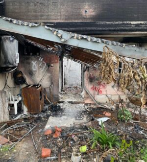 Gregg Sulkin Instagram - Standing amid the haunting remains of a Kibbutz struck by the October 7th tragedy, 76 days post-atrocity. While the physical remnants of devastation – including dead bodies have been cleared, the air still carries the heavy scent of loss and sorrow. These visuals, stark and sobering, serve as a poignant reminder: this is the reality of hate, unmasked and cruel. 

To every soul touched by this dark chapter, my heart extends its deepest empathy. This was not just an attack on the Jewish community, but an assault on humanity’s very essence. We must all shoulder the responsibility to remember and to educate, ensuring such horrors are relegated firmly to the past. 

I wish for harmony for all. We stand together, beyond religion or race, united in our unwavering resolve: Never Again.

Amid this resolve, we must not forget the innocent hostages still being held against their wills. For them, and their anguished loved ones, I pray fervently for a safe and swift release.

In the tender silence that follows grief, let us find the strength to turn our collective mourning into a beacon of hope and compassion, illuminating a future where peace and empathy reign over discord and division.