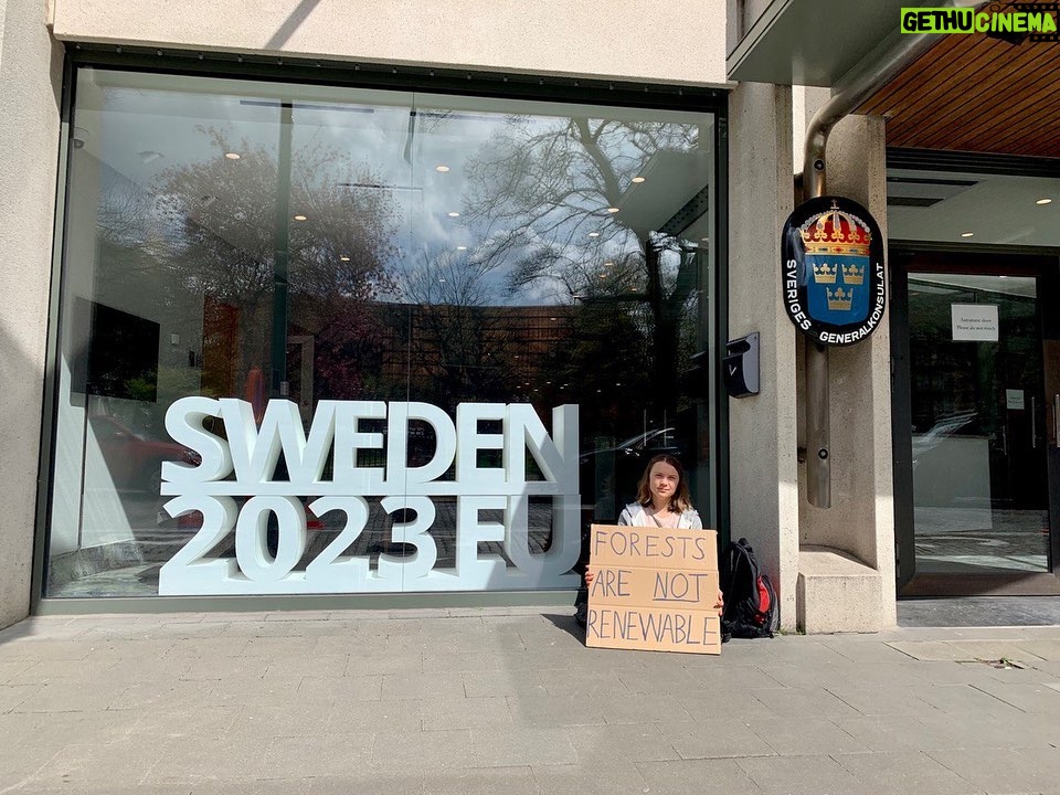 Greta Thunberg Instagram - Climate strike week 243. Today I’m striking outside Sweden’s Representation in the EU, in Brussels. My home country Sweden currently holds the presidency of the Council of the EU. Next week ministers will gather in Sweden to discuss forestry, among other things. The Swedish forestry model has been proven to be disastrous for both the climate, environment and Sámi indigenous- and human rights. We cannot let Sweden further impact the EU’s forest policies. Sweden’s ever expanding forestry has been criticised by the scientific community, indigenous Sámi villages as well as the climate- and environmental movement. The country and its industries often claim that we have record amount of forests, but while we do have many trees in plantations aimed to be cut down, monocultural plantations are not forests. We are losing the last remaining natural forests, which are invaluable for carbon sinks, biodiversity and indigenous people in Sápmi. We desperately need to #StopExpansionStartRestoration . #ClimateStrike #FridaysForFuture #ForestsAreNotRenewable Sveriges EU-representation